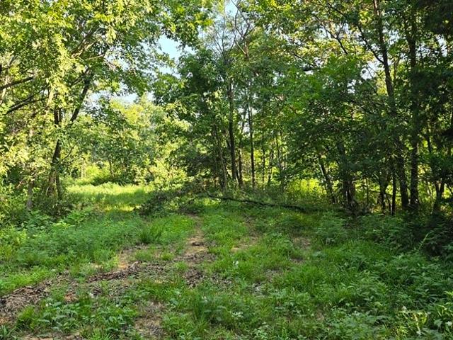 Land for sale in Ark