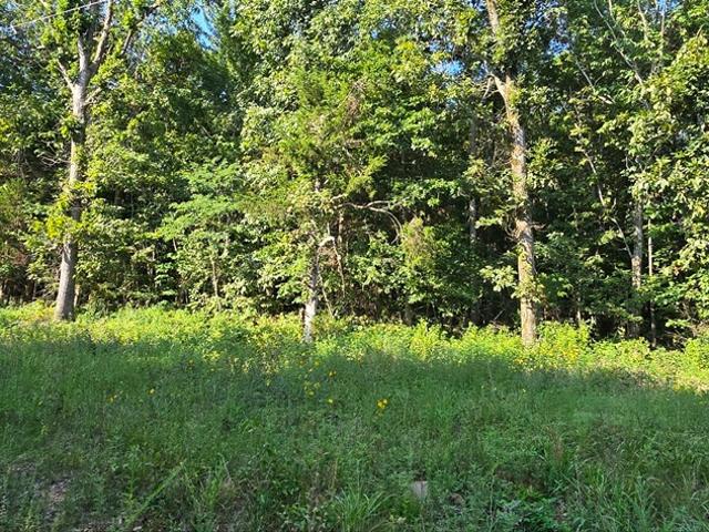 Land for sale in Ark