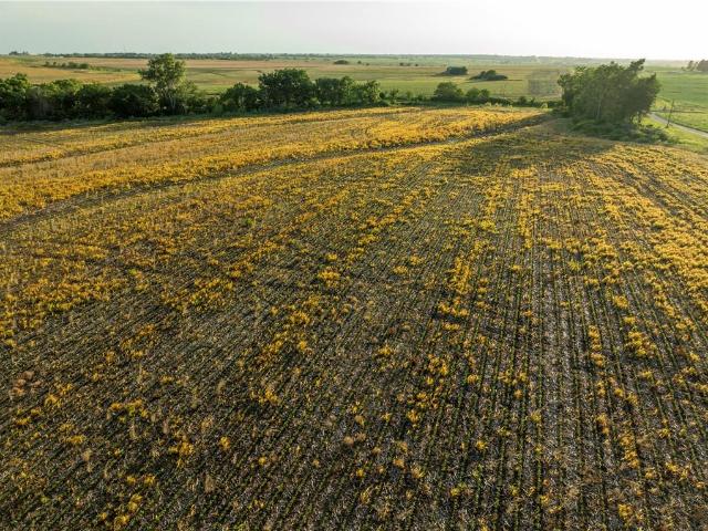 Farm for sale in Kansas