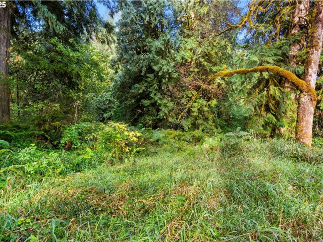 Land for sale in Woodland, Washington