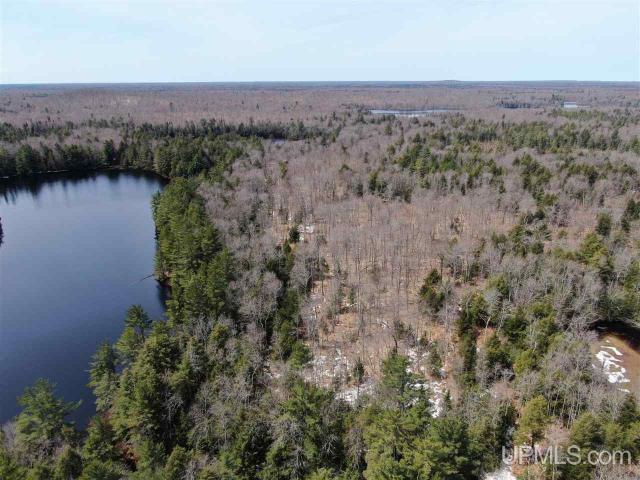 Land for sale in Michigan