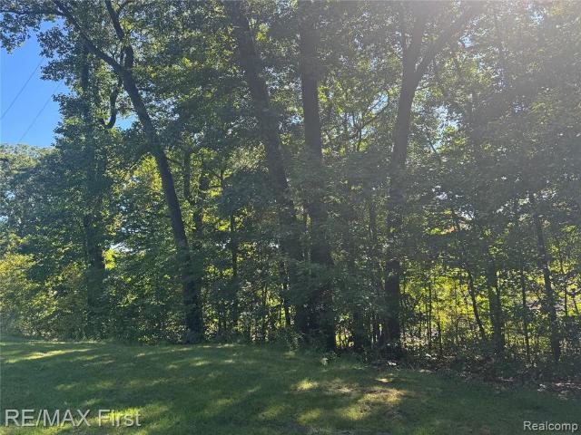 Land for sale in New Buffalo, Berrien County