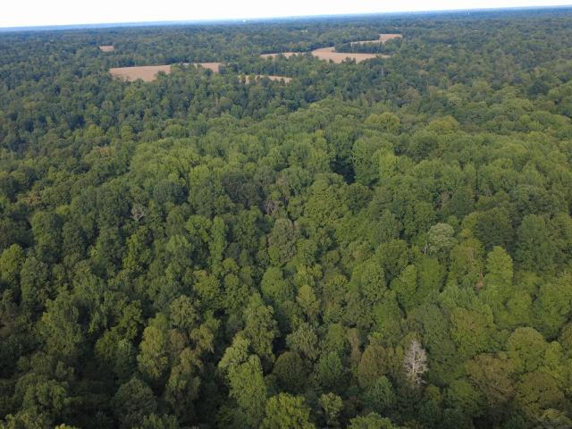 Land for sale in Bardwell, Kentucky