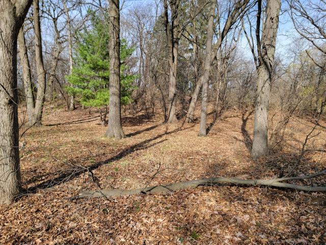 Land for sale in Mchenry, Illinois