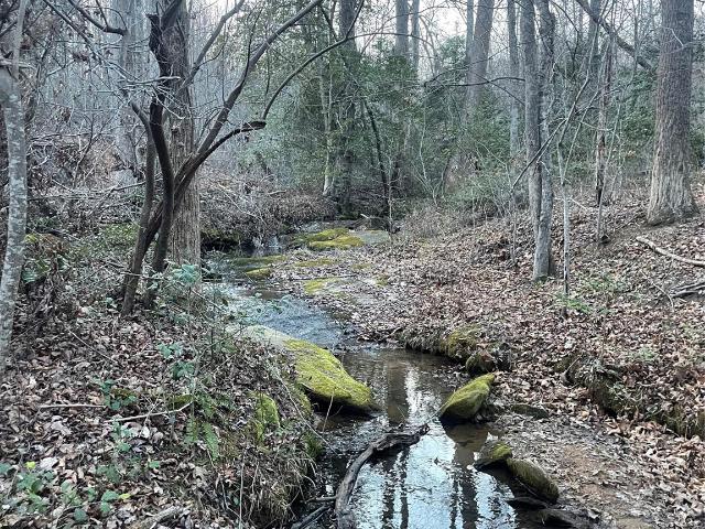 Land for sale in Lawndale, North Carolina