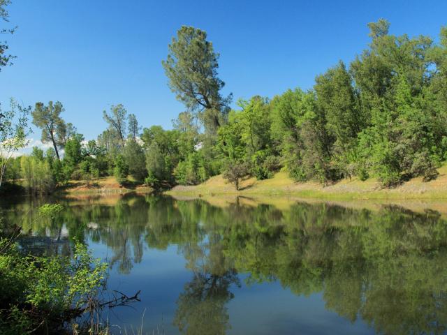 Land for sale in Shasta, California