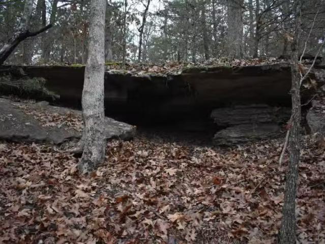House for rent in Ark