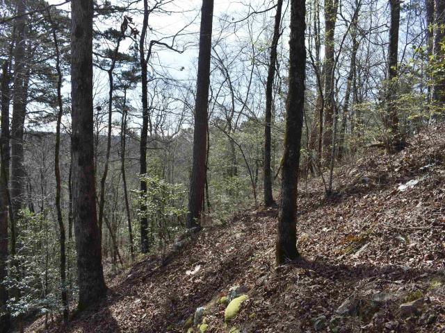Land for sale in Ark