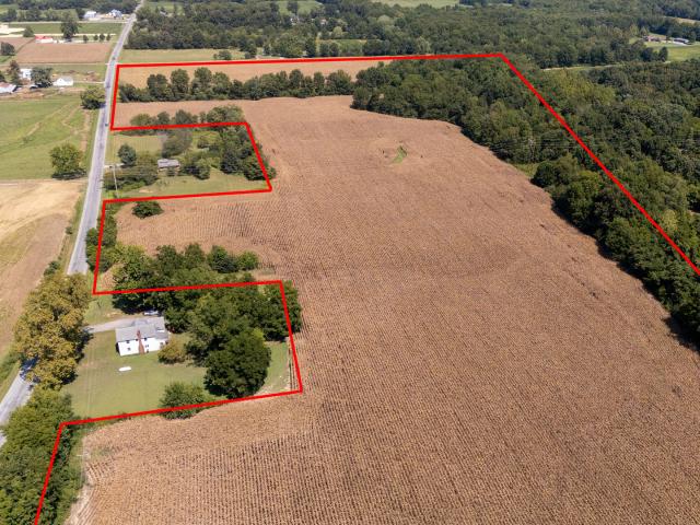 Land for sale in Johnston City, Illinois