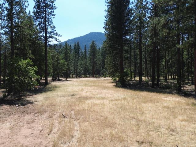 Land for sale in Shasta, California