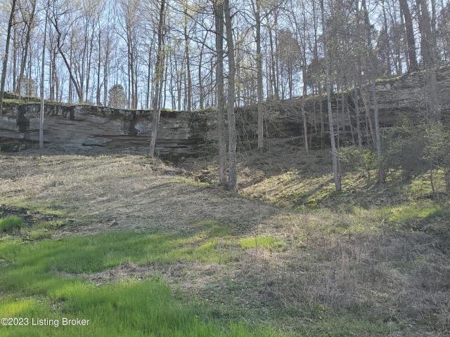 Land for sale in McCoy, Breckinridge County