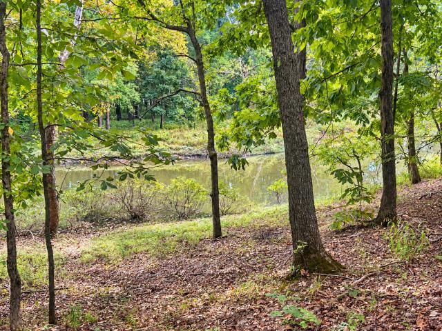 Land for sale in Golconda, Pope County