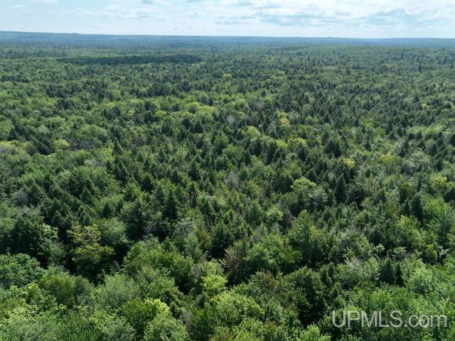 Land for sale in Deerton, Michigan