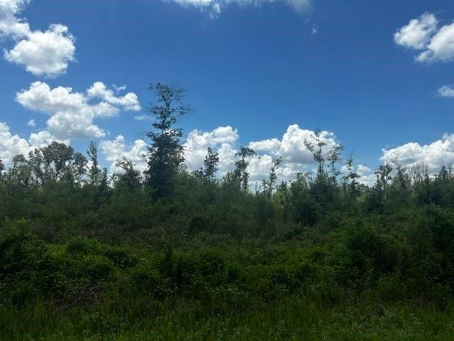 Land for sale in Jefferson, Texas