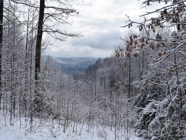 Land for sale in East Flat Rock, North Carolina