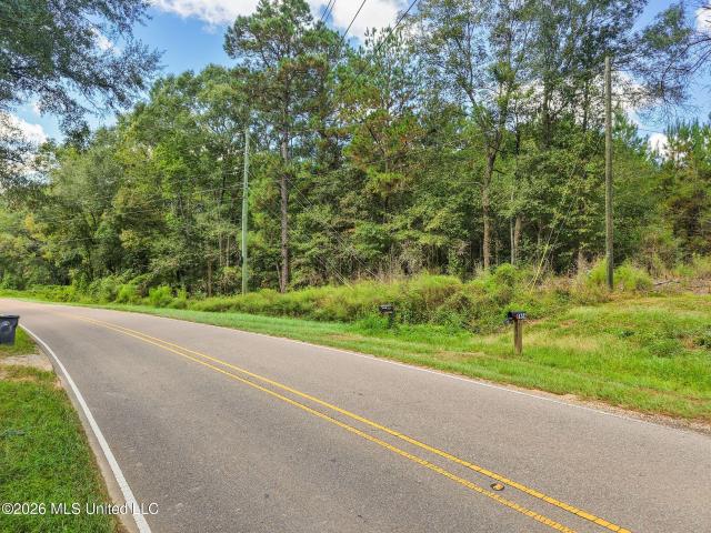 Land for sale in Purvis, Lamar County