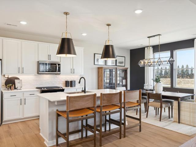 House for sale in Cottage Grove, Minnesota