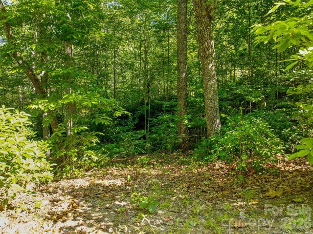 Land for sale in Etowah, North Carolina