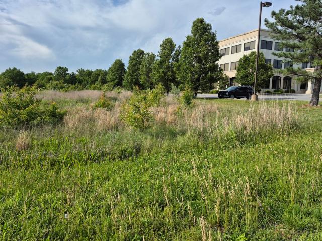 Land for sale in Carbondale, Illinois
