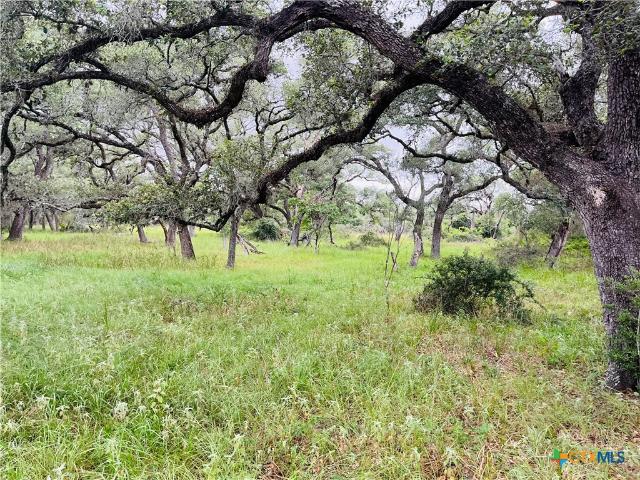 Land for sale in Stratton, Cuero