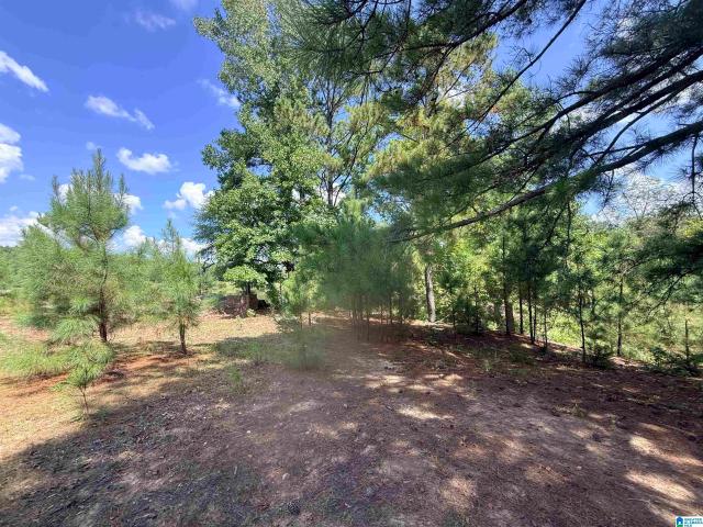 Land for sale in West Blocton, Alabama