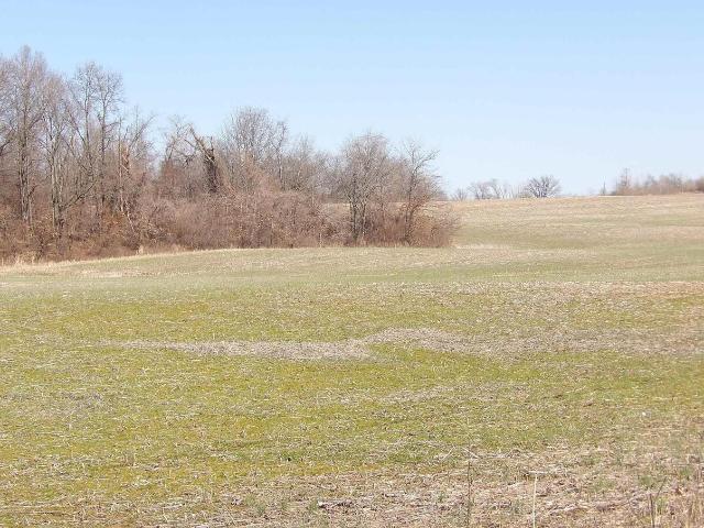 Land for sale in Buckner, Illinois