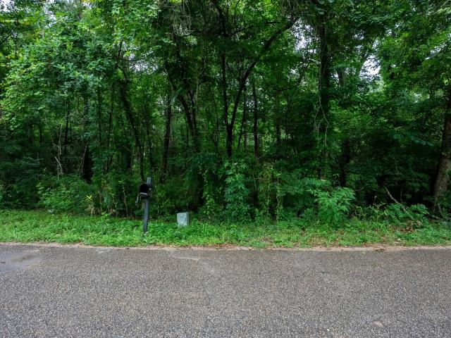 Land for sale in Conroe, Texas
