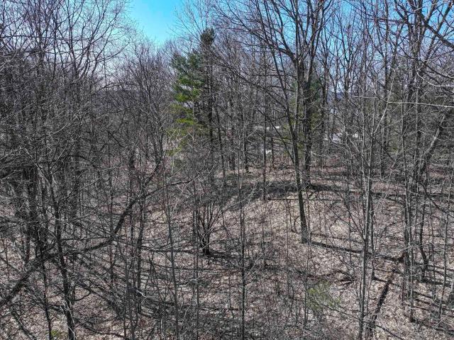 Land for sale in Michigan