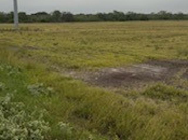 Land for sale in Kingsville, Texas