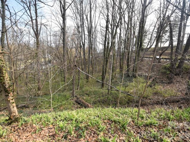 Commercial for sale in Haywood, North Carolina