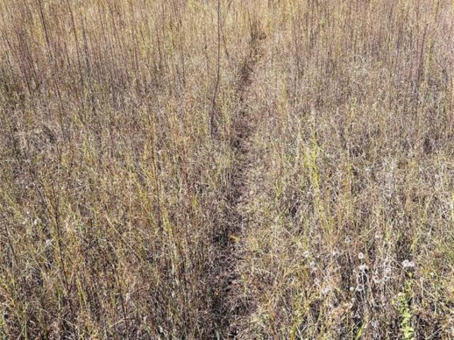 Land for sale in Yale, Oklahoma