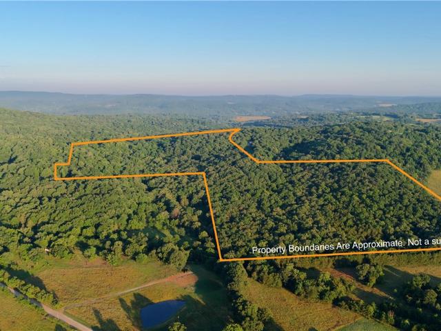 Land for sale in Ark