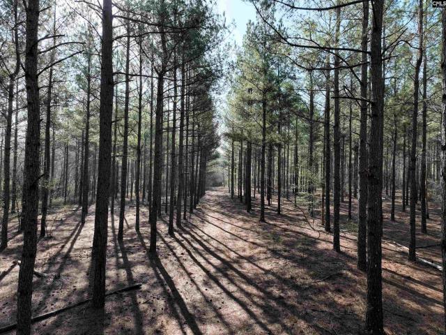 Land for sale in Aiken, South Carolina