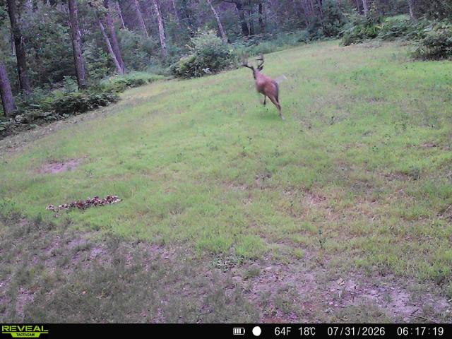 Land for sale in Sawyer, Wisconsin