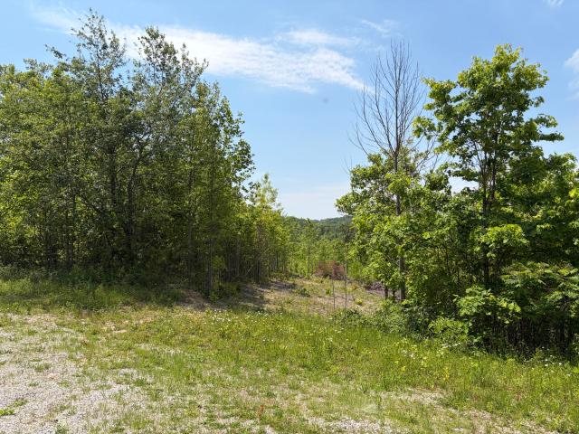 Land for sale in Whitley City, Kentucky