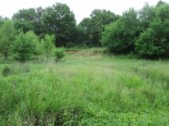 Land for sale in Galena, Missouri
