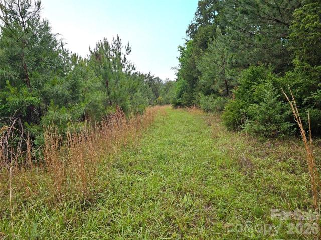 Land for sale in Fort Lawn, South Carolina