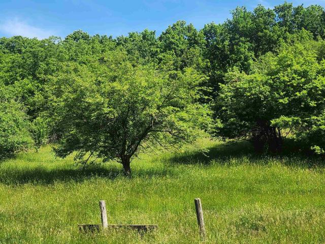 Land for sale in Mount Sterling, Wisconsin