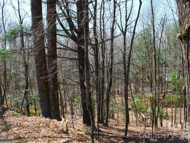 Land for sale in Slick Rock, Brevard