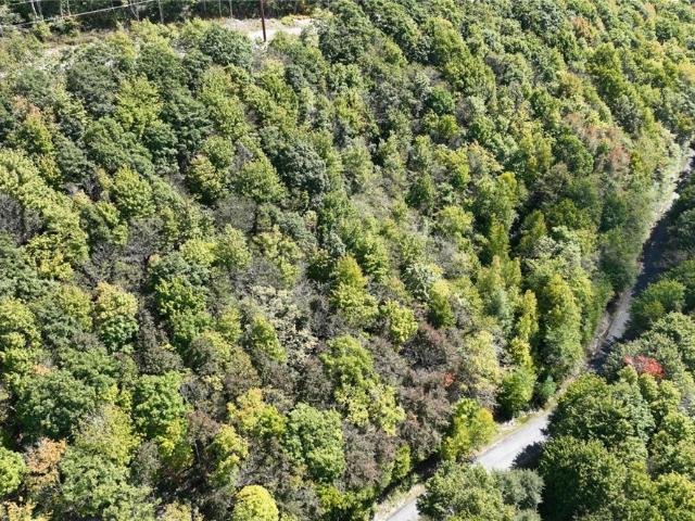Land for sale in Banner Elk, Avery County