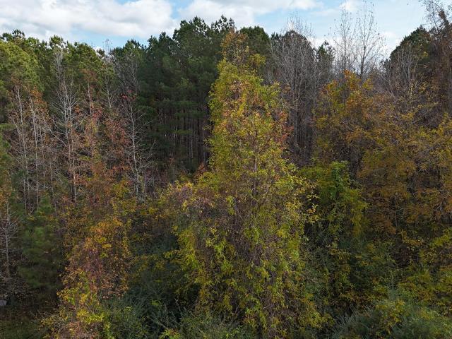 Land for sale in North Carolina