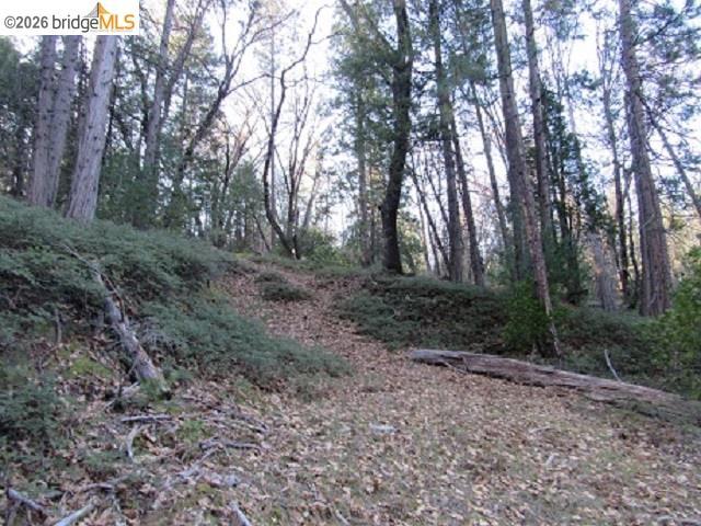 Land for sale in Twain Harte, Tuolumne County