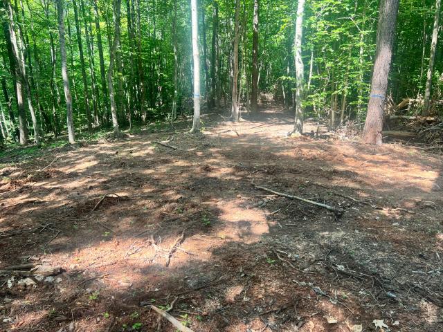 Land for sale in Monticello, Kentucky