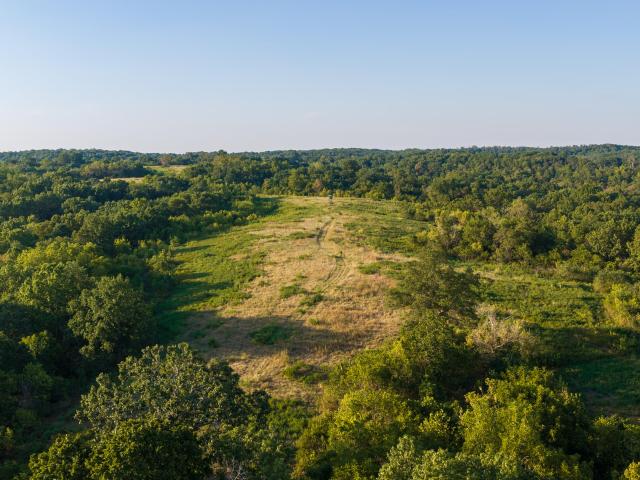Land for sale in Washburn, McDonald County