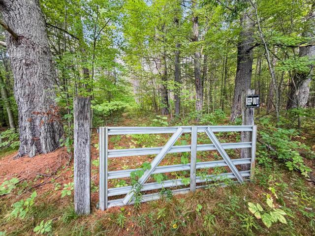 Land for sale in Babcock, Town of Remington