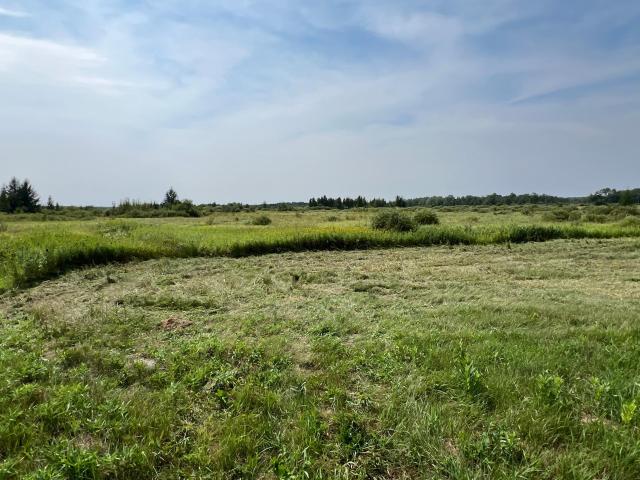Land for sale in Cloverdale, Arlone Township
