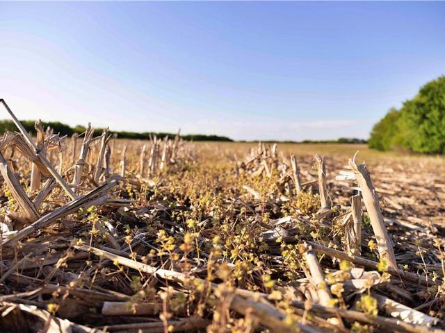 Land for sale in Gallatin, Missouri