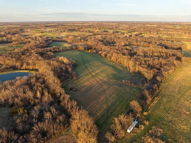 Farm for sale in Centerview, Missouri