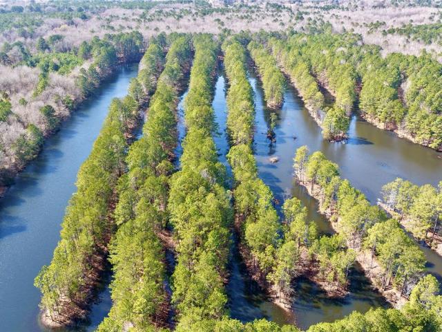 Land for sale in Texarkana, Texas