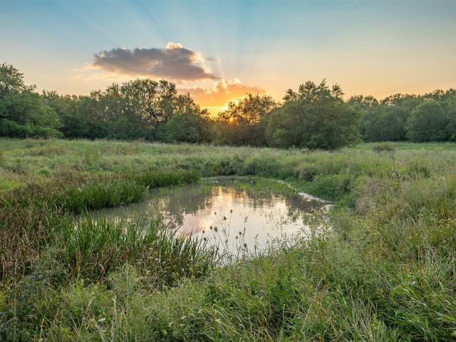Land for sale in Van Meter, Iowa